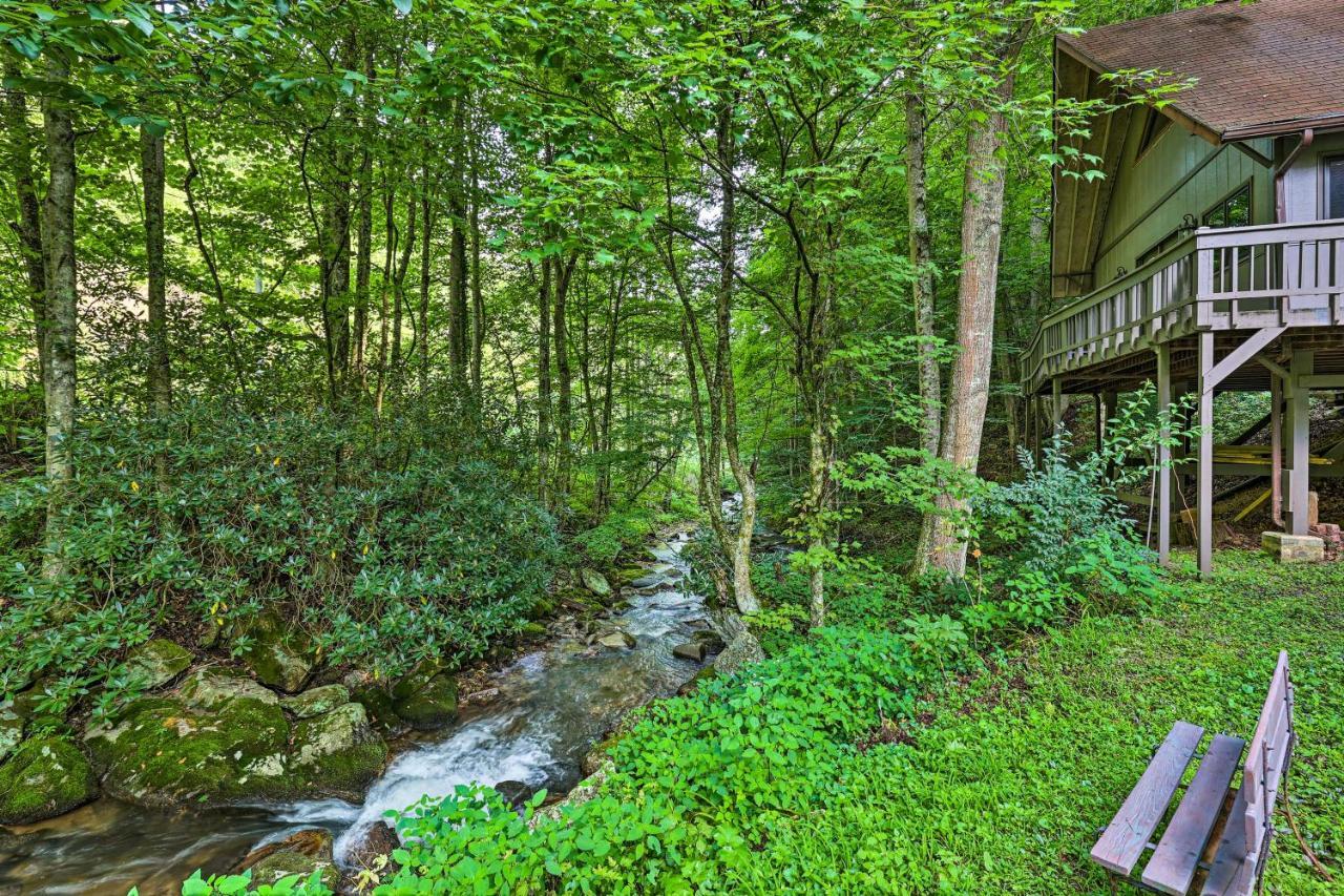 Creekside Roan Mountain Cabin Walk To Trails Exterior foto