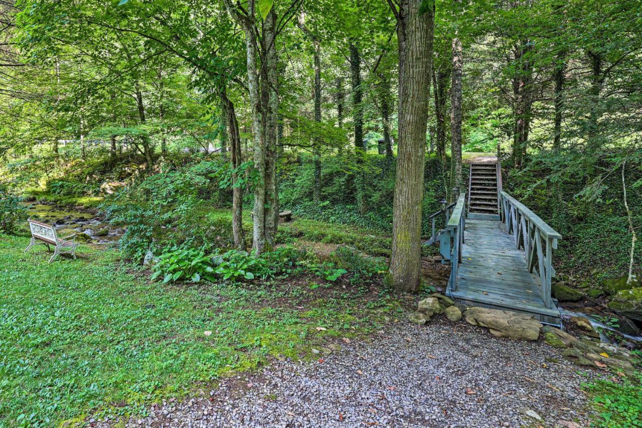 Creekside Roan Mountain Cabin Walk To Trails Exterior foto
